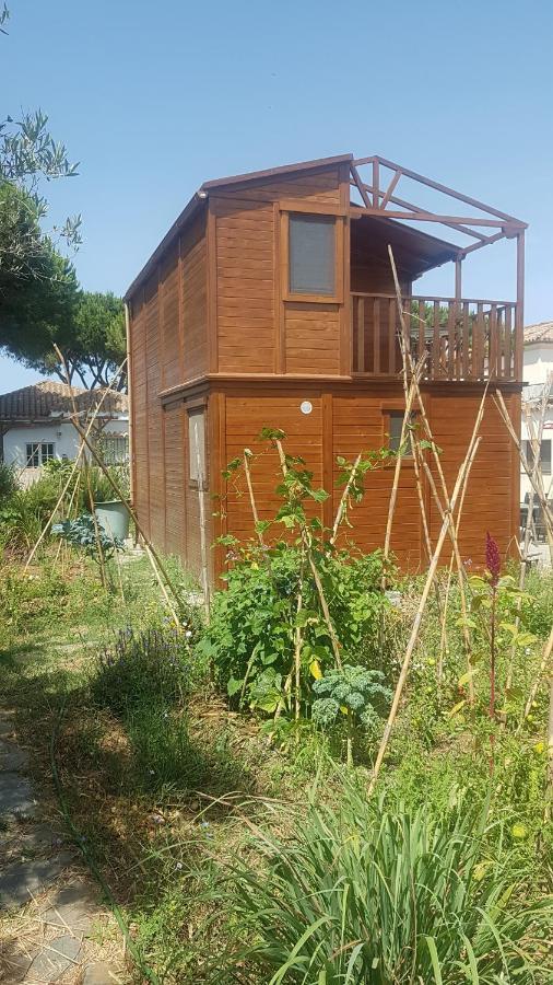 فيلا شيكلانا دي لا فرونتيرافي Casa De Madera De Sancti Petri المظهر الخارجي الصورة